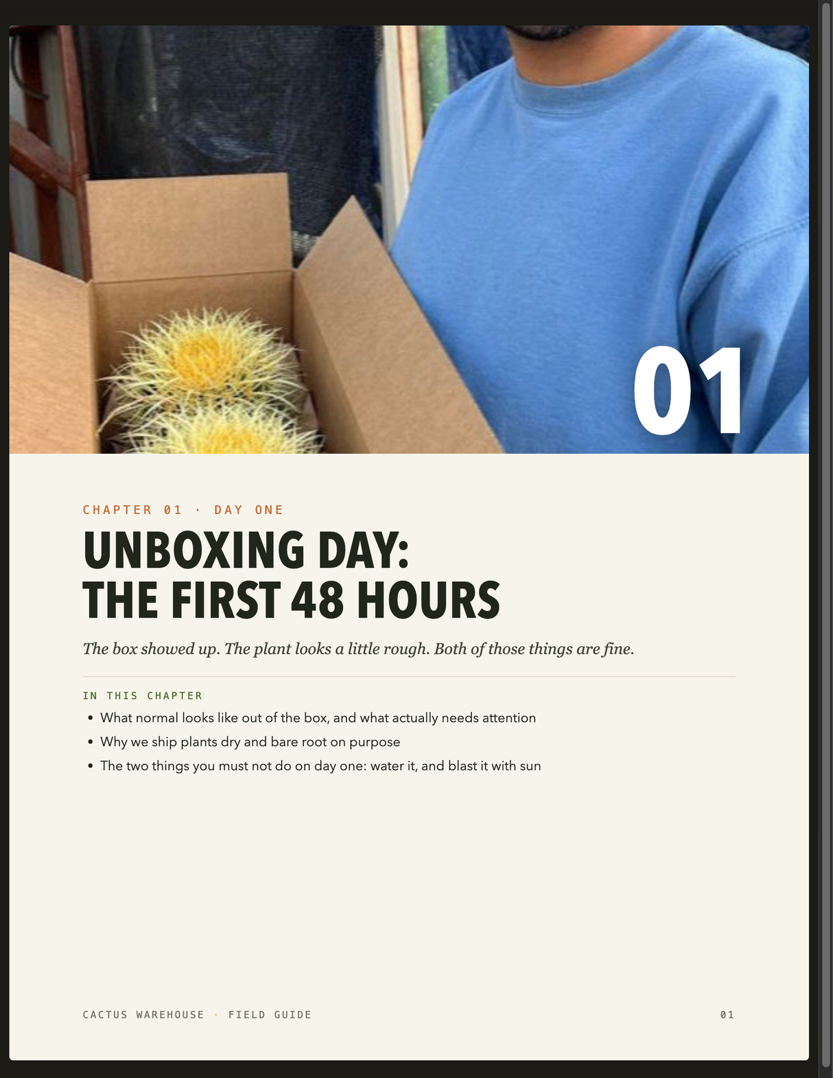 Interior page: Unboxing Day, the first 48 hours