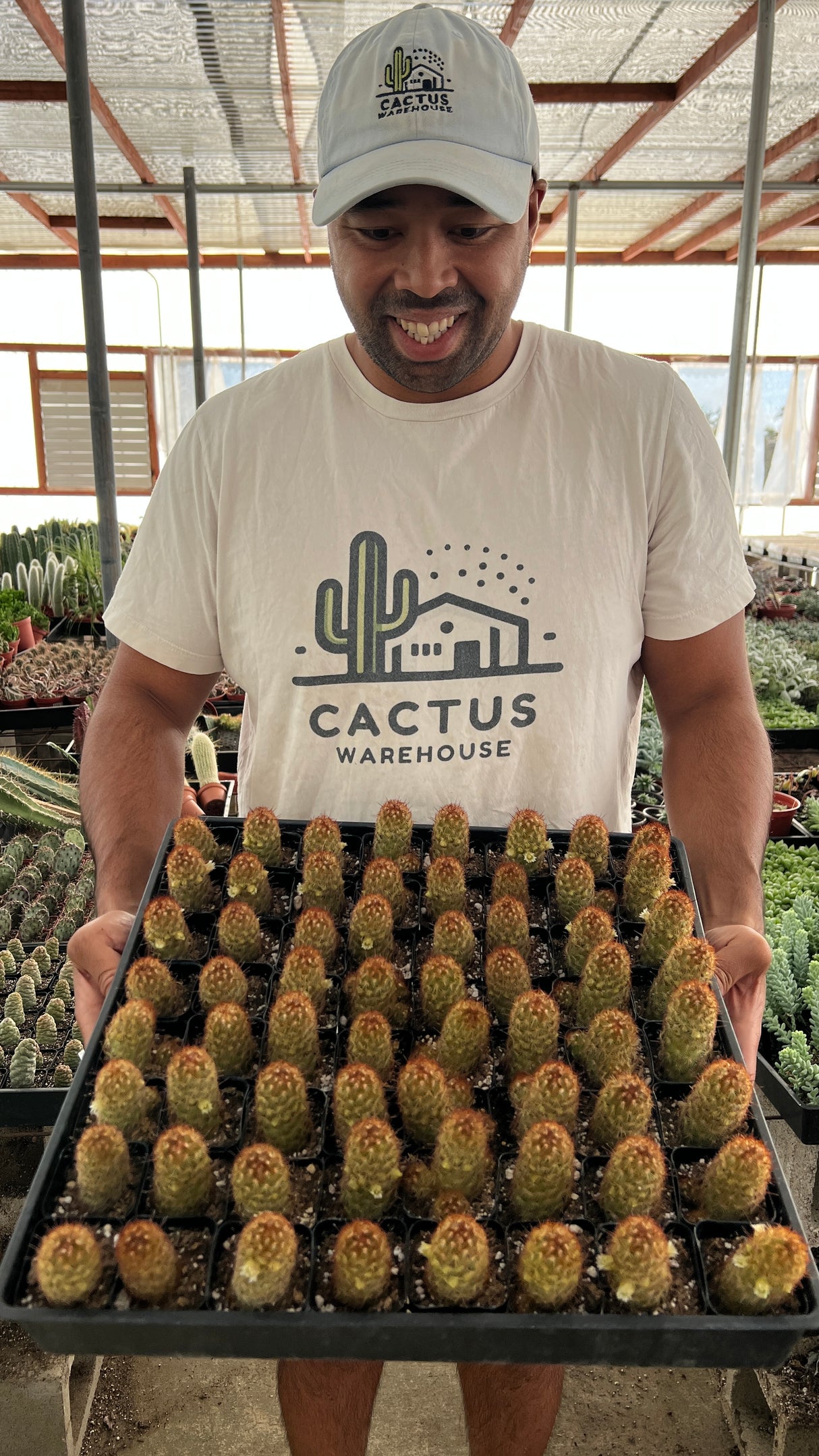Build-Your-Own 64-Pack 2” Cactus Variety Tray -(Choose Any 4)