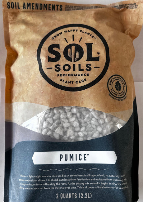 Two quart bag of horticultural pumice soil amendment and top dressing for cactus and succulents
