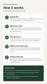 How the Collector Box works: subscribe, open your box of 9 rooted 2-inch plants, pot each trio, water once then wait, collect them all. Skip, pause or cancel anytime.