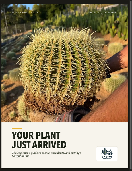 Cover of Your Plant Just Arrived, the Cactus Warehouse field guide
