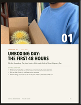 Interior page: Unboxing Day, the first 48 hours