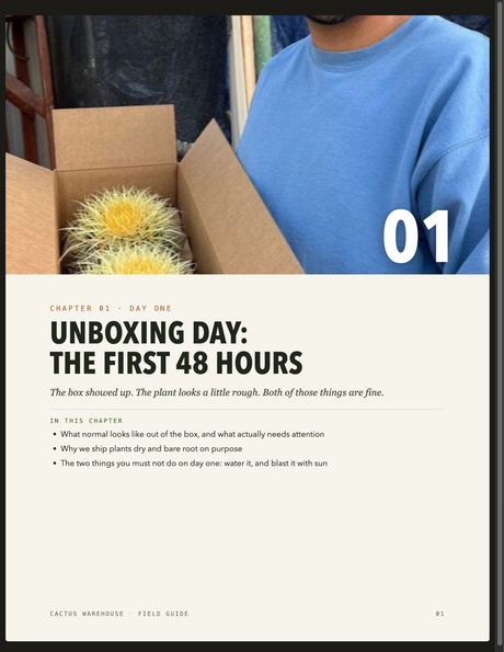 Interior page: Unboxing Day, the first 48 hours