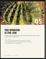 Interior page: the window direction light guide