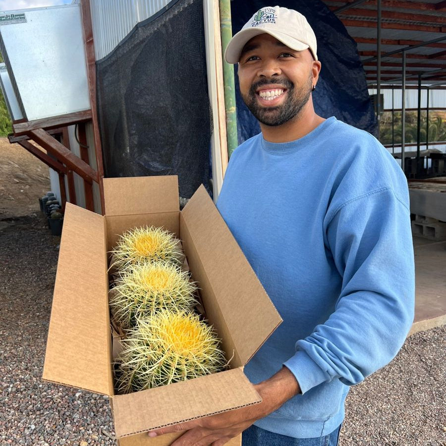 Man holding a box of cacti in an outdoor setting