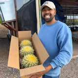 Man holding a box of cacti in an outdoor setting