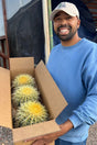 Man holding a box of cacti in an outdoor setting